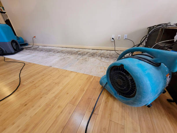 Reliable Basement Flood Cleanup contractor in Saint Leonard, MD by Hirex Water Damage
