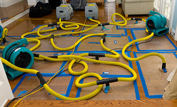 Professional Basement Flood Cleanup technician working in Saint Leonard, MD